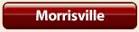 Morrisville Homes For Sale