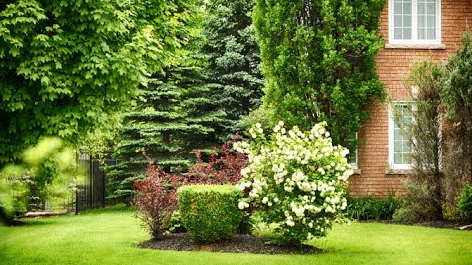 Yard & Landscaping Tips