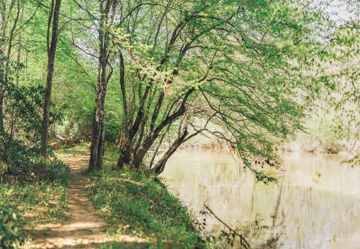 Eno River State Park