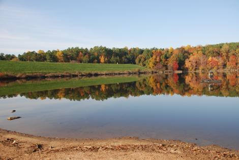 Shelley Lake