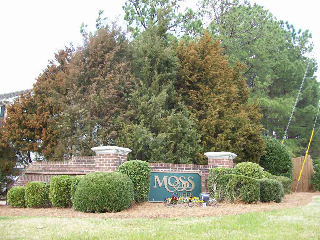 Moss entrance sign